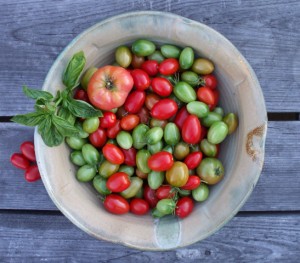 Bowl of different colored tomatoes