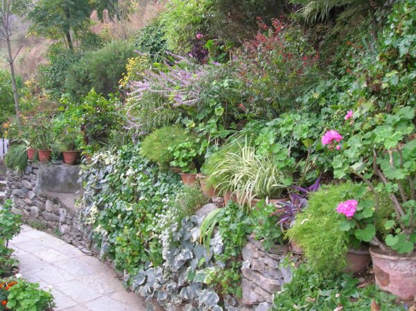 Sloped shade flower garden