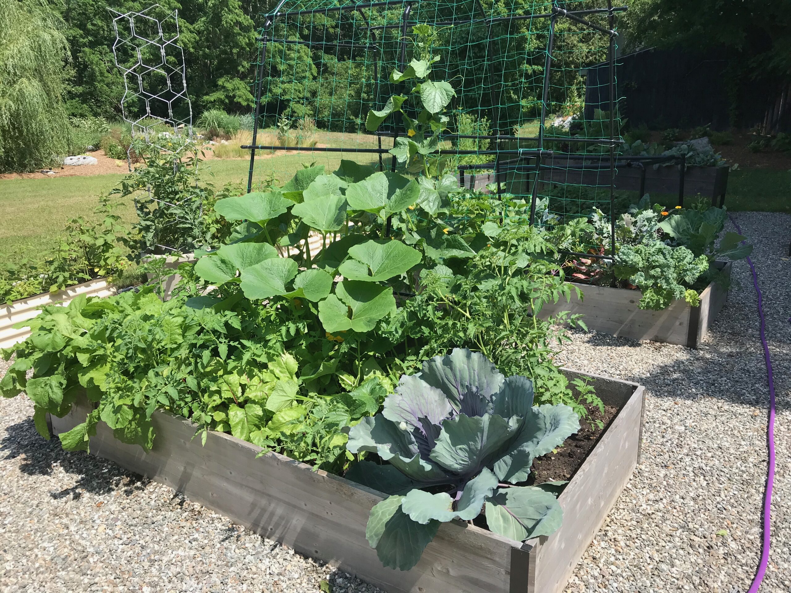 The Complete Guide to No-Dig Gardening: Grow beautiful vegetables