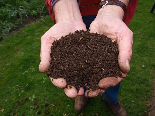 Hands holding compost